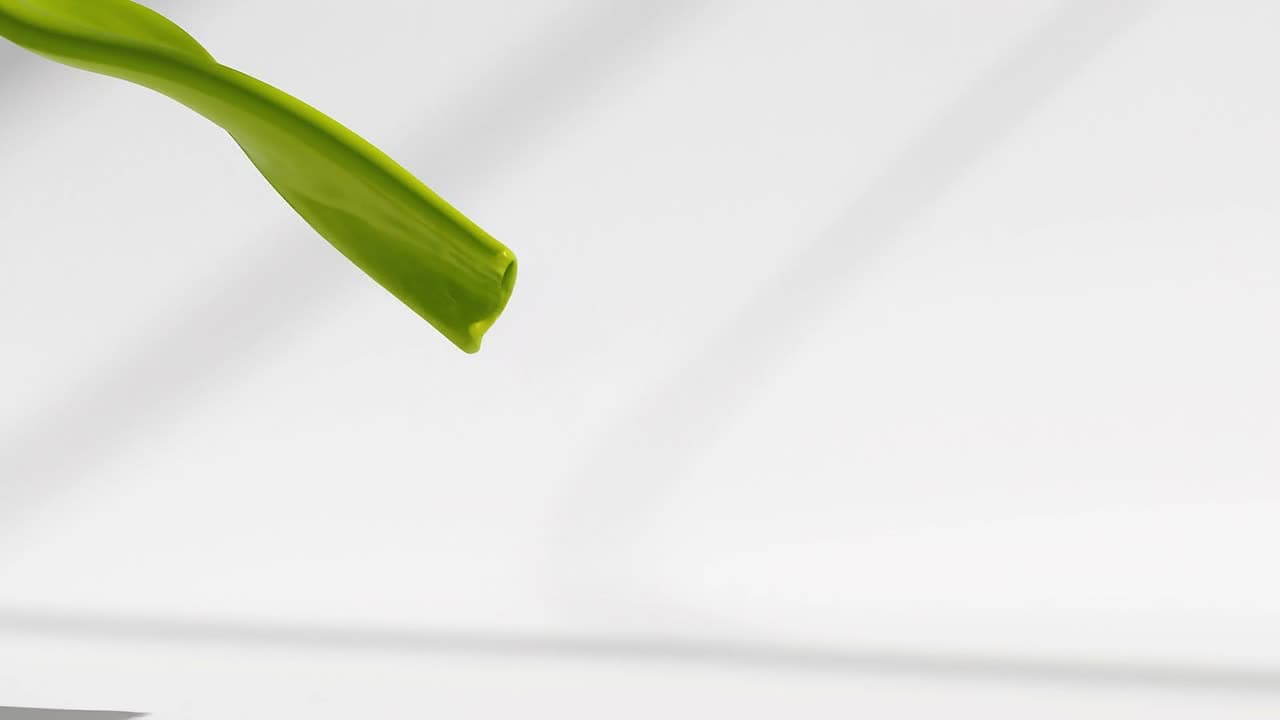 A chartreuse ribbon flowing across a white studio